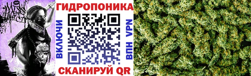 Что такое Шахты Канабис  kraken ТОР  ГАШ  Alpha-PVP 