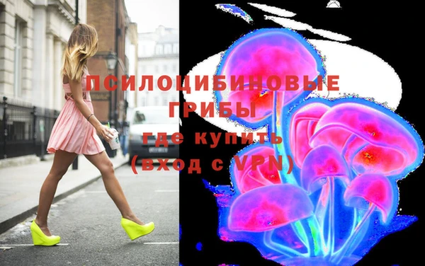 стафф Богородицк