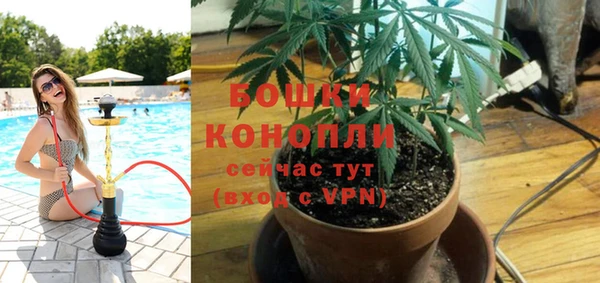 мяу мяу мука Богданович
