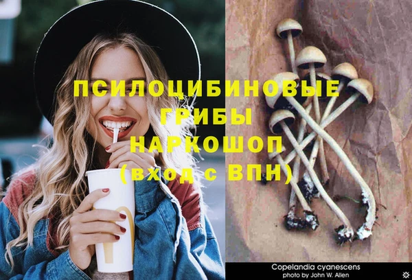 мяу мяу мука Богданович