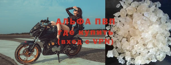 мяу мяу мука Богданович