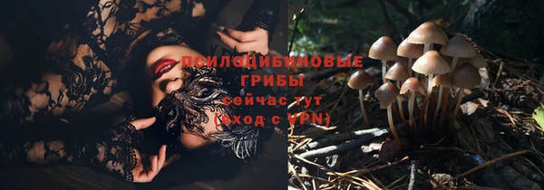 не бодяженный Богородск